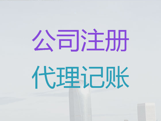 哈尔滨代理记账报税-财务代理一站式服务